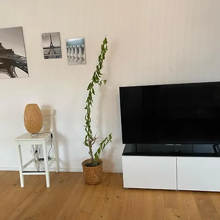 Altbau Mit Flair Apartment